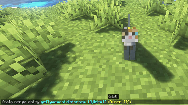minecraft transfer pet ownership command