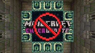 minecraft no end update why